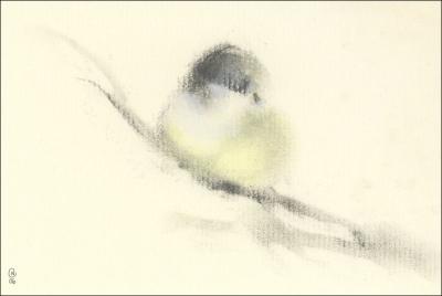 Chickadee 02, 4H x 6W inches charcoal on paper