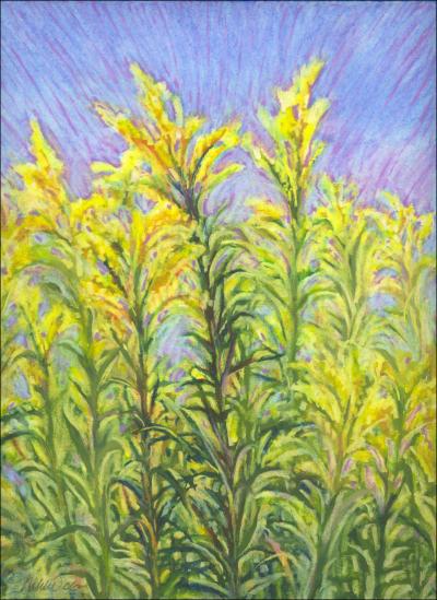 Goldenrod
