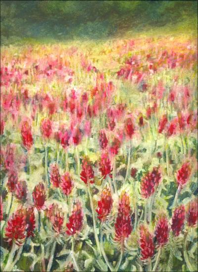 Red Clover