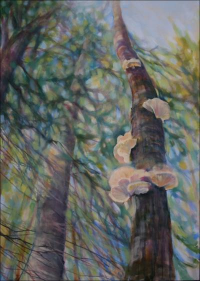 Polypore Fungi, work in progress, 59 H x 41 W x 2 D, acrylics on canvas