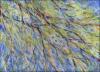 March Winds -for details see March 15, 2007