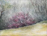Rebirth - 11 x 14 Oil Pastels, waterwash pencils on paper