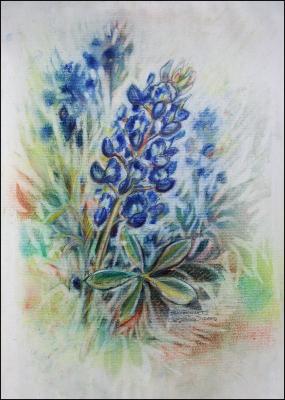 Bluebonnets #3 - 16 x 12 Dry Pastels