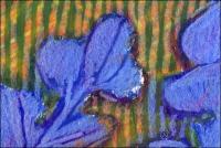 Bluebonnets Abstract 04, 3 x 4 inches oil pastels on paper