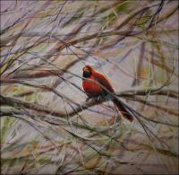 Cardinal - phase 1