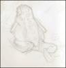 Blue Poison Dart Frog (Dallas World Aquarium) - 3 x 4 inch sketch