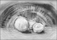 When Life brings you lemons, draw them - Dry Pastels  - B/W version of colored
