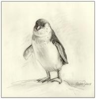 Penguin #2 - at the DWAquarium