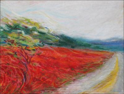 Speeding by the Poppies, reworked October 2007