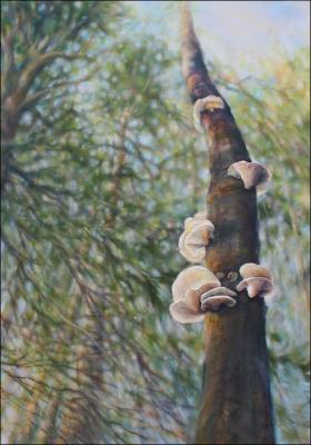 Polypore Fungi -finished 58 x 41 x 1.5 inches