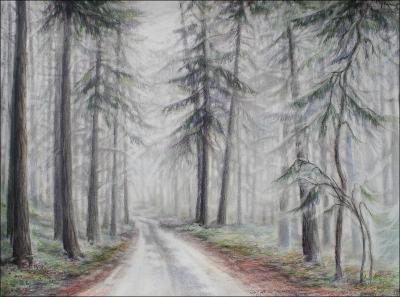 Salt Spring Island, B.C. - 16 x 22 inches pencil, eraser, dry pastels, colored pencils