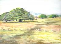 Mattipaul trees, NW Costa Rica - 11 x 14 Oil Pastels, pencil on paper