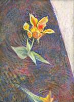 End of Tulip Season, Ottawa, Ontario (this piece is in transition)