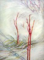 January Thaw, Ottawa, ON, Canada - 14 x 11 Oil Pastels