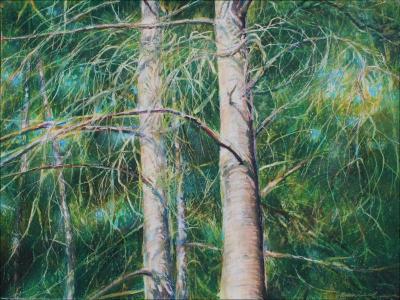 Eastern White Pine 18 x 24 inches Oil Pastels on paper