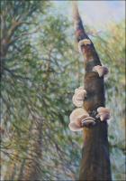 Polypore Fungi detail image - 58 x 41 x 1.5 inches Acrylic and modeling paste