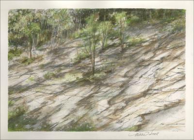 Nature Insists, growth through rock, North Carolina - 9 x 12 inches Graphite, W/C pencils, Dry Pastel