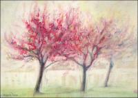 Redbuds - 11 x 14 Dry Pastels, 3? white double mat and 3? white classic-style wood frame, total size 22 x 26