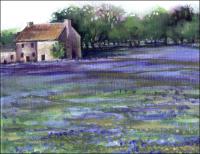 Bluebonnets, detail of upper left corner, just started - wobbly house