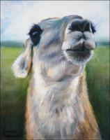 Guanaco, 16 x 20 inches Acrylics on canvas, framed.