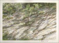Nature Insists, growth through rock, North Carolina - 9 x 12 inches Graphite, W/C pencils, Dry Pastel on paper