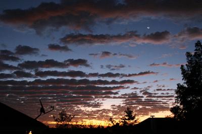 Mackerel Sky, sunrise November 17, 2006