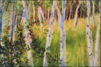 Northern Delights 02 started, Quaking Aspen, 24H x 36W inches acrylics on canvas