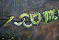 Emerald Tree Boas, left detail of 24 x 57 x 2 inches Acrylics on stretched canvas. Painting - 3 year study almost finished..