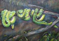 Emerald Tree Boas, right detail of 24 x 57 x 2 inches Acrylics on stretched canvas. Painting - 3 year study almost finished.