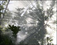 Sun Shower 03