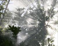 Sun Shower 03, Photography, White mat, black frame, 22 x 26 inches