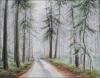 Salt Spring Island Fog, 18 x 24 inches pencil, eraser, dry pastels, colored pencils on paper, framed size 28.5 x 34.5 inches.