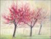 Eastern Redbuds, Paper Places Series, 11 x 14 inches Dry Pastels, 22 x 26 inches with white mat and frame.