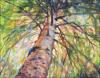 White Pine Bows, 20 x 34 x 1.5 inches Acrylics on wrapped canvas