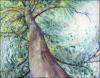 Eucalyptus Tree, detail - Paper Places Series, 14 x 11 inches Oil Pastels, 26 x 22 inches with white mat and frame.
