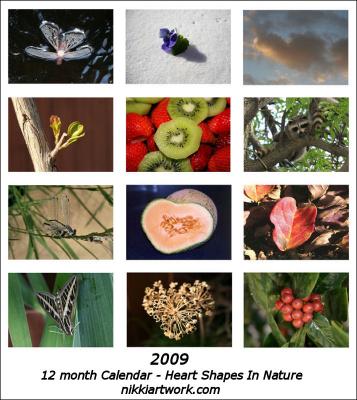 2009 12 month calendar of Heart Shapes In Nature photography 