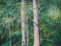 Eastern White Pine, 18 x 24 inches Oil Pastels on paper, framed size 21 x 27 inches