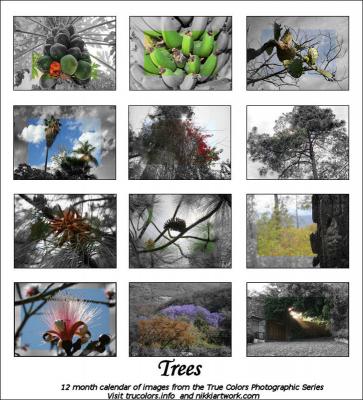 2009 12 month calendar of Trees from the True Colors Photographic Series