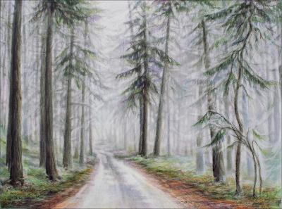 Salt Spring Island Fog, 18 x 24 inches pencil, eraser, dry pastels, colored pencils on paper, framed size 28.5 x 34.5 inches.