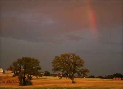 Rainbow at sunset Lewisville TX, July 30, 2008