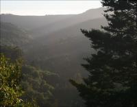 On Cloud 9, view from the road to the Giant Redwoods in the John Muir National Forest, CA