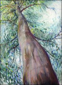 Blue Gum Eucalyptus Tree, Queensland Australia, 14 x 11 Oil Pastels on paper