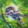 Visitor - Raccoon, Ottawa, Ontario, Canada - 11 x 11 x 3 acrylics on canvas, sides painted