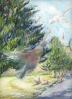 Galahs in Traffic, South Australia, 11 x 14 inches Oil Pastels on paper