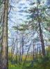 Wild Canada, 11 x 14 inches Oil Pastels on paper