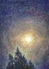 Moon Over Cypress, 11 x 14 inches Oil Pastels on paper