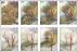 January Thaw, Paper Places signature piece: the evolution of a drawing