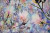 Flowering Shavingbrush Tree, detail 