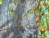 Shadows of Summer, top half detail