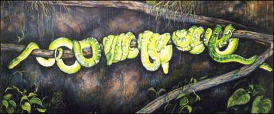 Emerald Tree Boas, 24 x 57 x 2 inches acrylics on canvas, gallery wrapped
